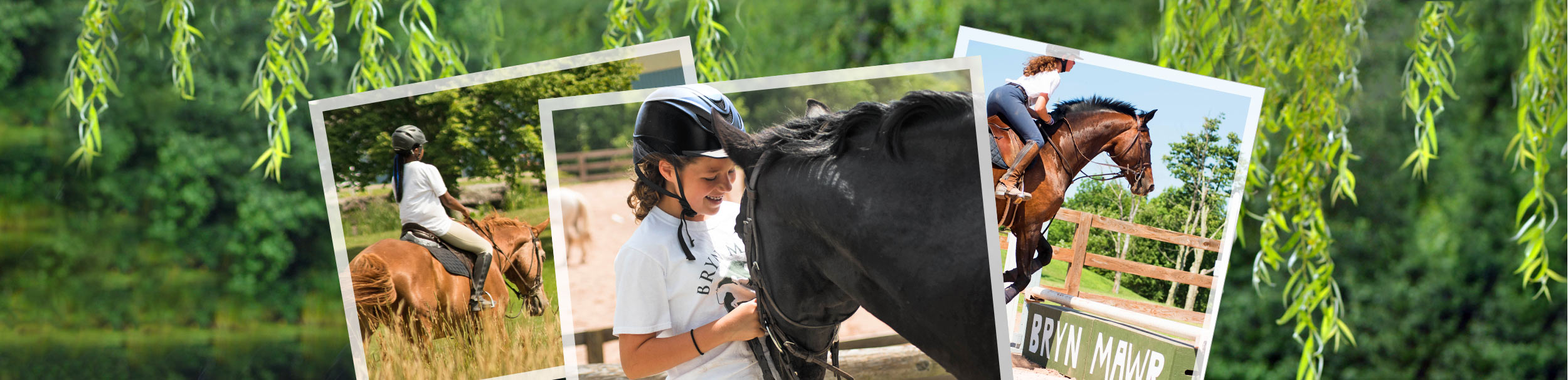 About Bryn Mawr Horseback Riding Camp